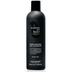 alfaparf-milano-blends-of-many-anti-dandruff-and-sebum-control-shampoo-for-men-250ml